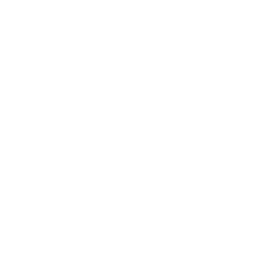 Logo Romuald Nss